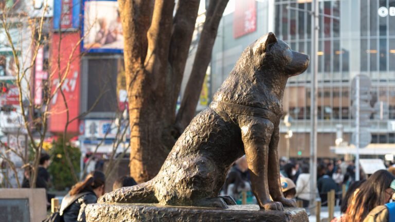 Hachikō: Lealtad Fundida en Bronce