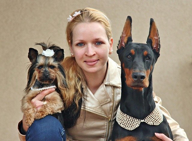 ¿Qué países son más responsables con los perros?