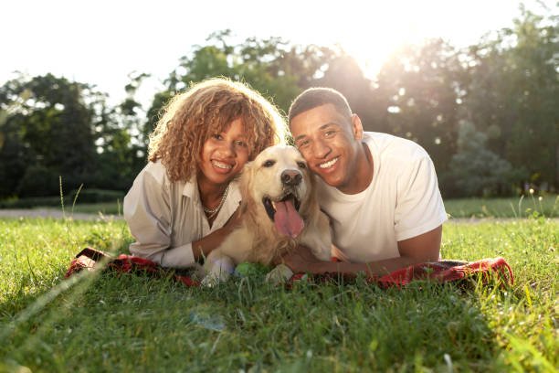 istockphoto-2042746769-612x612